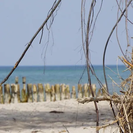 Dorothee 1 아파트 오스치바드 닌하겐