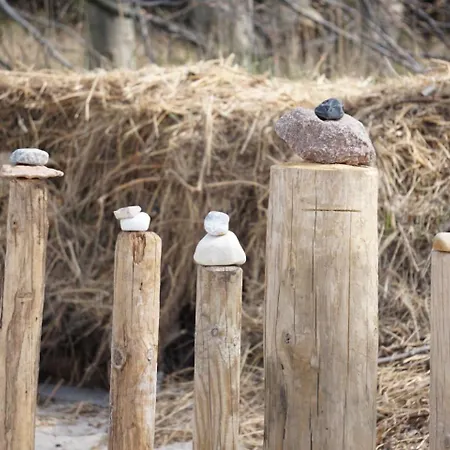 Dorothee 1 오스치바드 닌하겐